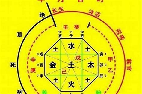 如何知道自己八字屬性|生辰八字算命、五行喜用神查詢（免費測算）